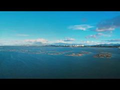 5.2KM Système de radar de surveillance côtière haut de gamme avec suivi de cible et avertissement de capture